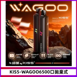 KIS5WAGOO哇酷6500口拋棄式 | 自由混搭雙口味 | 雙芯組合