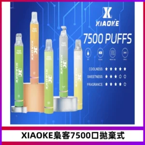 XIAOKE梟客7500Puffs跑馬燈拋棄式電子煙 可發光一次性